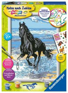 Malen nach Zahlen Bild 180x240mm Pferd am Strand - Ravensburger Bild mit Pferde Stickerbogen und Rahmen - Classic Serie Pferde 15 Acrylfarben - ab 11 Jahren