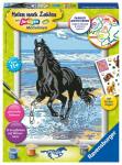 Malen nach Zahlen Bild 180x240mm Pferd am Strand -...