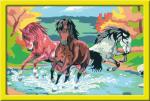 Malen nach Zahlen Bild 31x21cm Stolze Wildpferde -...