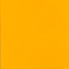 Tischtuchrollen 1,2 x 5m Uni orange Airland 70g