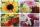 Platzdeckchen Blumen 4-fach
