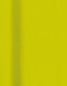 Tischtuchrolle 118cmx5m kiwi DUNI 185465 Dunicell