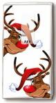 Taschentücher FSC-Mix 10 Stück Rudolph