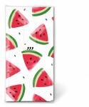 Motiv Taschentuch FSC-Mix 10 Stck. Melon pieces