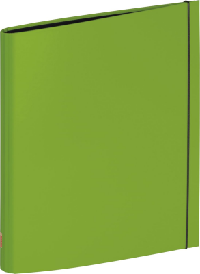 Brunnen 106559052 Ringbuch Colour Code (A4, stabiler Karton, 20 mm Füllhöhe, 2 Ringe, runder Rücken mit Gummizug) grün / kiwi