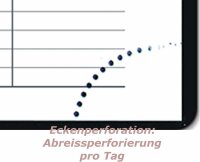 2025 Güss Praxis-Timer A4 Einband Tucson grün