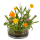 OOTB Dosenblume Blumenwiese