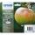 EPSON Original Epson Tintenpatrone MultiPack Bk,C,M,Y (C13T12954012,T1295,T12954012)