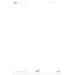 Staufen Flipchartblock 68x99cm 20Bl 80g Green kariert