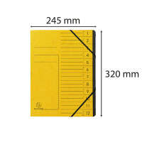 Exacompta EXACOMPTA Ordnungsmappe - 12 Fächer, A4,...