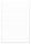 Staufen Ringbucheinl A4 50Bl 90g Premium liniert hfrei