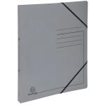 Exacompta Ringbuch DIN A4 Colorspankarton grau