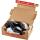 ColomPac Return Box 400 x 300 x 200 mm, braun