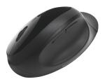 Kensington Maus Pro Fit Ergo kabellos schwarz