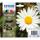 EPSON Original Epson Tintenpatrone MultiPack Bk,C,M,Y (C13T18064012,18,T1806,T18064012)