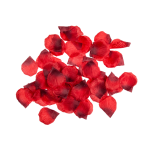 OOTB Rote Rosenblütenblätter ca. 150 Stück