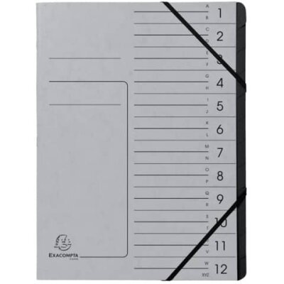 Exacompta EXACOMPTA Ordnungsmappe - 12 Fächer, A4, Karton, grau