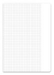 Staufen Schulheft A5 16Bl 90g Lin10 Premium kariert mR