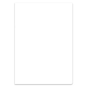 Staufen Ringbucheinl A4 50Bl 70g Lin20 Style blanko