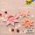 MAX BRINGMANN  D.Meissner Sternenset Joy  36 Blatt 80g/m², Inhalt: 12 x 15x15cm, 24 x 10x10cm und Anleitung, ab 10 Jahren Folia
