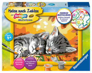 RAVENSBURGER  Malen nach Zahlen Bild  Kätzchen im Herbst, mit farbigen Motivlinien, Ravensburger, Bild mit Rahmen, Serie F, 10 Acrylfarben, ab 9 Jahren