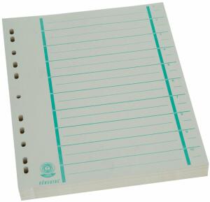 Büroring Trennblätter A4 grün chamois, farbiger Orgadruck