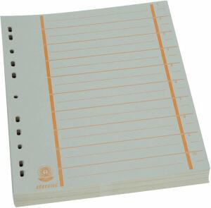 Büroring Trennblätter A4 orange chamois, farbiger Orgadruck