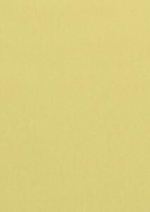 Clairefontaine CLAIRALFA PPP A4 80G 100BL CHAMOIS