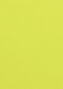 Clairefontaine CLAIRALFA PPP A4 80G 100BL GELB