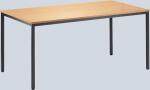 Mehrzwecktisch 1200 mm x 600 mm Höhe 720 mm,...