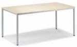 Mehrzwecktisch 2000 mm x 800 mm Höhe 720 mm,...