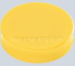 Ergo-Magnete Medium, 30mm, goldgelb Haftkraft 700g