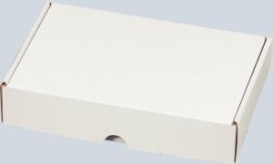 Maxibriefkarton weiß, 25 Stück Innenmaß: 225x155x45mm
