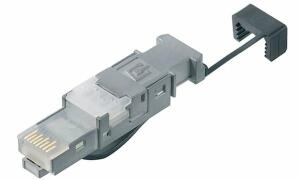 Telegärtner STX RJ45 Stecker, Kat.6 , für AWG 22 - 26 Twisted (11201535
