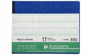 Exacompta EXACOMPTA Spaltenbuch, 20 Spalten a uf 2 Seiten, 24 Zeilen