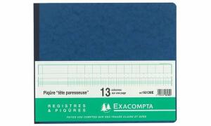Exacompta EXACOMPTA Geschäftsbuch mit Kopflei ste, 24 Spalten