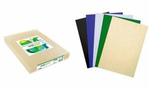 EXACOMPTA Einbanddeckel EVERCOVER, DIN A4, weiß (332256567)
