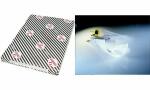 CANSON Zeichenpapier, 500 x 650 mm, hochtransparent...