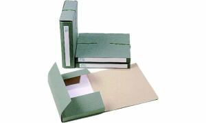 extendos Sammelbox 1240, für DIN A4 , aus Karton, grün (335265100)