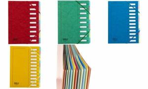 extendos Ordnungsmappe, DIN A4, Kar ton, 12 Fächer, gelb (335418200)