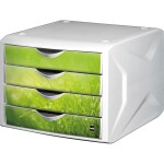 helit Schubladenbox the chameleon , Dekor springtime...