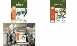 CANSON Zeichenpapierblock C à gra in, DIN A4, 180 g/qm (5297864)