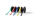 nobo Magnetbandstreifen, (B)10 mm x (L)5 m, schwarz (5436811)