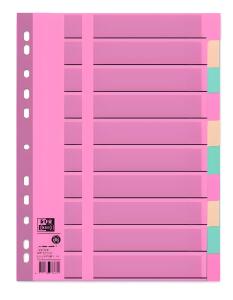 Register A4+ Tauenpapier 110 g/m², blanko, 10 Blatt, 5-farbig