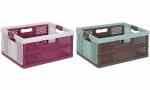 keeeper Profi-Klappbox lea, 32 Li ter, PP, mint / taupe...