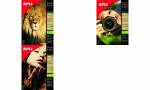 agipa Foto-Papier bright, DIN A4, 2 00 g/qm,...