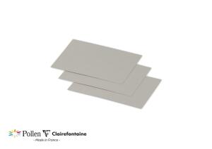 Clairefontaine Karte Mini 70x95 Pollen Silber