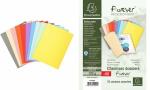 Exacompta EXACOMPTA Aktendeckel FOREVER 180, DIN A4,...