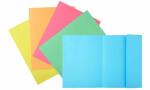 EXACOMPTA Aktendeckel SUPER 250, DI N A4, rosa (831000544)