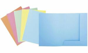 Exacompta EXACOMPTA Aktendeckel SUPER 250, DI N A4, chamois